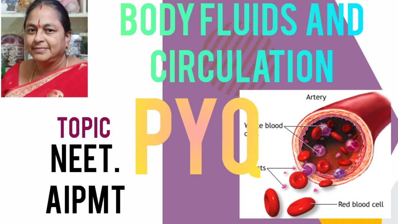 BODY FLUIDS and CIRCULATION# topic PYQ NEET, AIPMT#TELUGU explanation ...