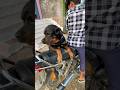 MR Vishal Vlog mera dog bike per kush #rottweiler #vlog #youtubeshorts #shorts