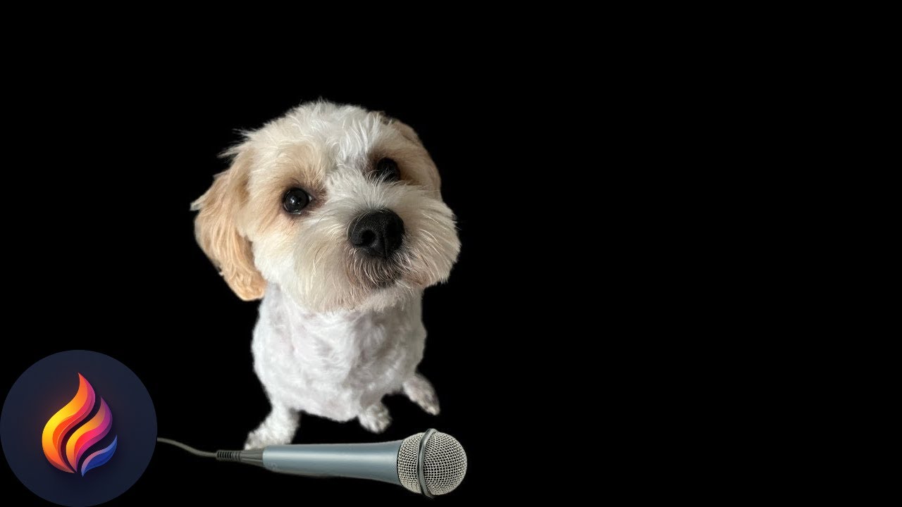 BTS "MIC Drop" (Steve Aoki Remix) Reaction | First Time Hearing