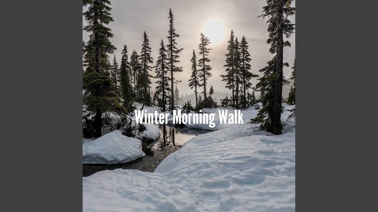 Peaceful Moods for Funky Roadtrips