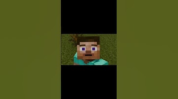 The Reversed Reality VS Steve and Alex Minecraft animation