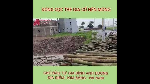 ĐÓNG CỌC TRE GIA CỐ NỀN MÓNG
