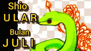 SHIO ULAR bulan JULI 2022 // REJEKI MANTAB, JODOH BERDATANGAN , asmara HARMONIS, KARIR BARU