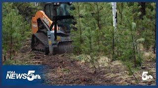 Sky High Ranch in Teller County conducting wildfire mitigation for special guests