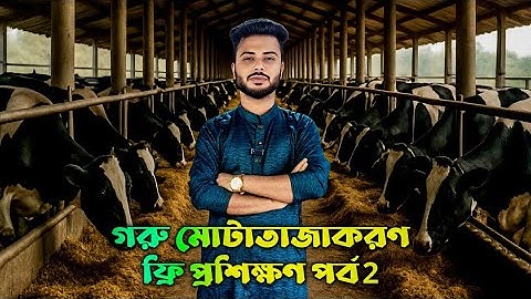 ফ্রিতে গরু মোটাতাজাকরণ প্রশিক্ষণ | গরু কেনা থেকে বিক্রি পর্যন্ত পূর্ণ গাইড | ২য় পর্ব