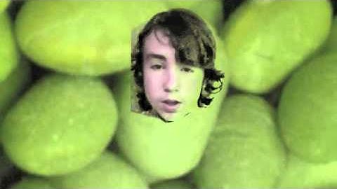 Roundup Ready Soybeans