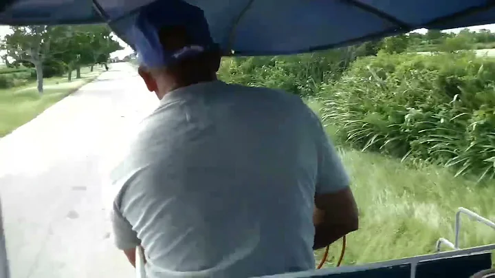 Gilles  Cuba Hulguin 2016
