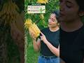 “अनोखा Buddha’s Hand Fruit 😱🍋 | North-East India Secret Fruit #shorts#ytshorts #sarnaviral Shorts