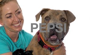 Adopt Pepsi at NKLA