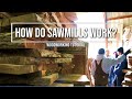 Road Trip: Let's Check Out Some SAWMILLS IN ACTION