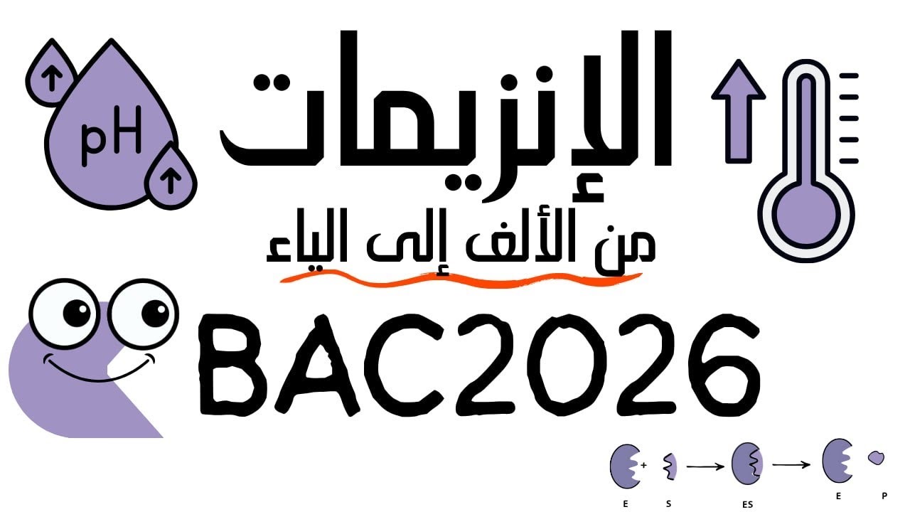 الإنزيمات👻ثالثة ثانوي شعبة علوم تجريبية /شرح مميز باك2026/تخلص من شبح الإنزيمات👻👻🧟‍♀️