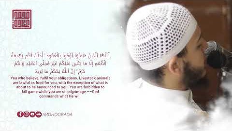 سورة المائدة كاملة    الشيخ محمد عبادة    صلاة القيام رمضان 1440هـ   2019م