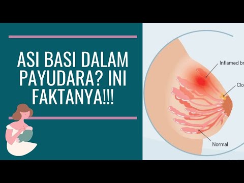 Video: Apa Yang Ada Di Dalam ASI?