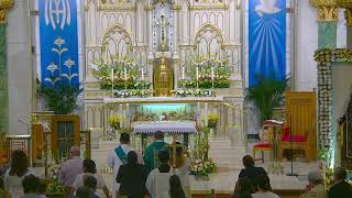 7-12-2026 - 15th Sunday in Ordinary Time - 9:30AM Bilingual Mass
