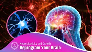 Reprogram Your Brain: Neuroplasticity and Growth | Cortisol Release, Nerve Relaxation Music
