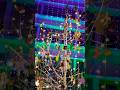 Merry Christmas Celebration At School Happy New year 🎊🥳 Editing Video #trending #critsmas#viralvideo