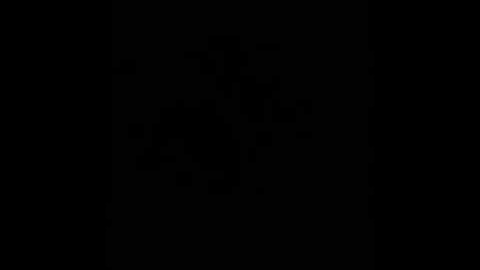 Bk dispute rules wrong