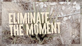 How to Kill a Bad Habit // Eliminate the Moment