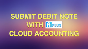 Aplus Software - E-Invoice - Debit Note