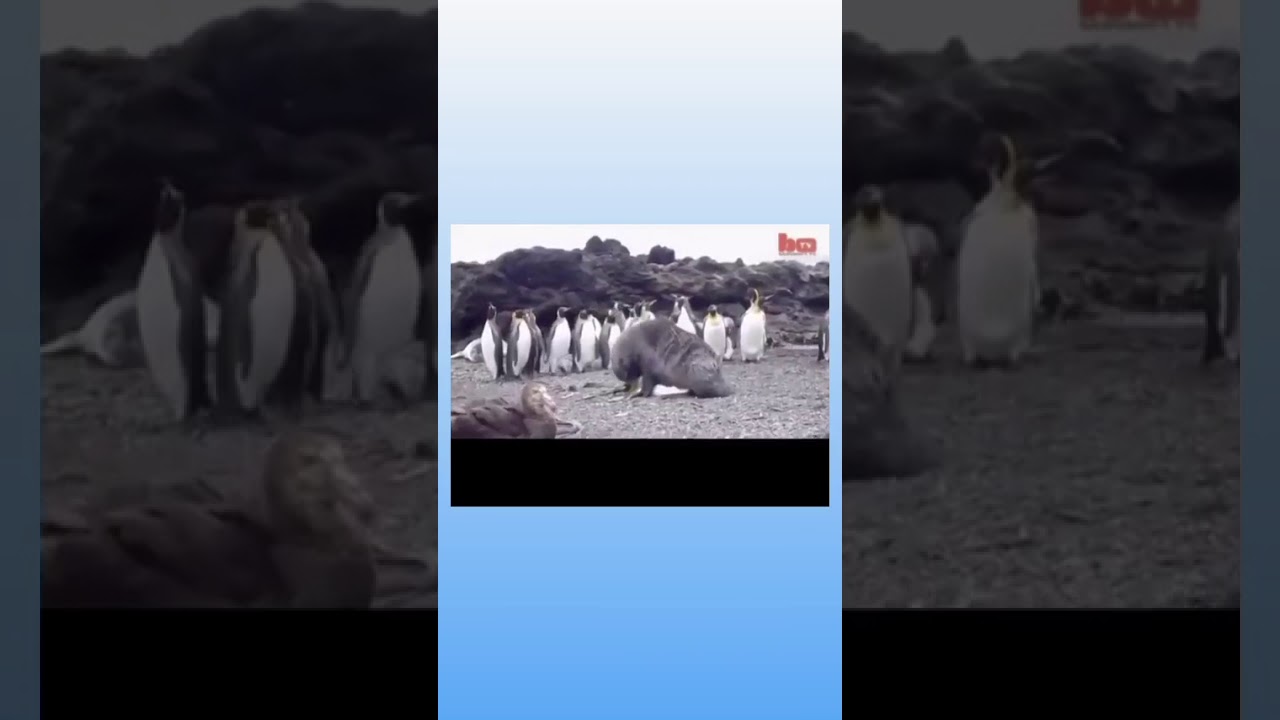 Was reimt sich auf Flugtermin? YouTube Was reimt sich auf Flugtermin? YouTube
