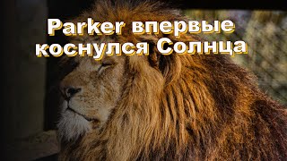 Parker впервые коснулся Солнца