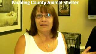Paulding County Animal Shelter with Chase from Pcom 4 Teens Show