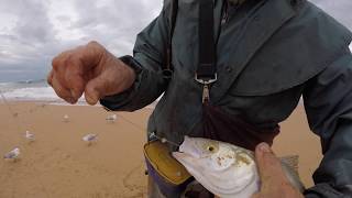 Australian Salmon fishing Waitpinga beach SA with bait part 2