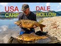 USA carp   Dale Hollow