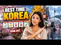 🇰🇷 Best Time to Visit South Korea | Month-by-Month Weather Guide