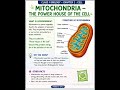 Mitochondria #biology #cell #neet #nexttoppers #science #physics #chemistry  #motion #Allen #ncert