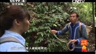 20140403 走遍中国 深藏峡谷的灵丹妙药