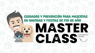 Cuidado y prevención para mascotas en Navidad y Fiestas de fin de Año 🐶🐱🎄