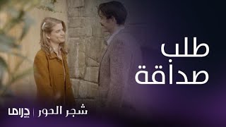 مسلسل شجر الحور| الحلقة 41| كونستانتس يلاحق دروسو