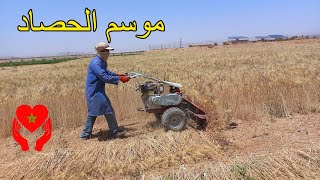 شاهد أجواء حصاد محصول القمح بدوار غليل امزدار جنوب المغرب بآلة صغيرة متطورة