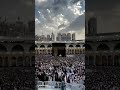 قصيدة مؤثرة صوت وصورة  انشاد معاذ المشرفي حكى لنا العلامة الاوزاعي
