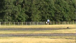 Trebuchet Official Launch 5
