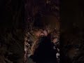 kirpi anne yuvasında ne oluyor