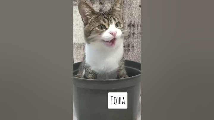 ВОТ ЭТО ПОВОРОТ😁 #funny #шуточное #смешнойшортс #смешновидео #юмор #мемас