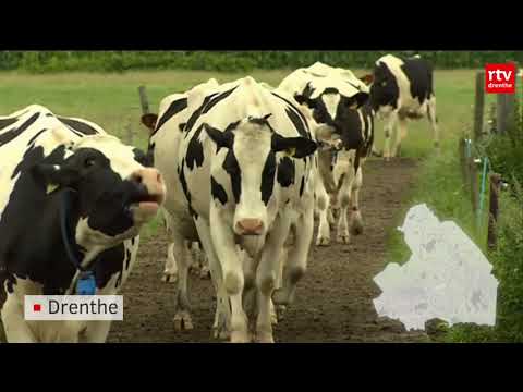 Drenthe Nu van maandag 21 augustus 2017 - Drenthe Nu van maandag 21 augustus 2017