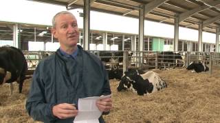 Vaccinating Cattle Safely and Effectively - brought to you by DairyCo