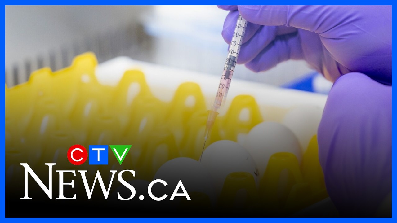 Canada to receive half a million doses of bird flu vaccine - YouTube