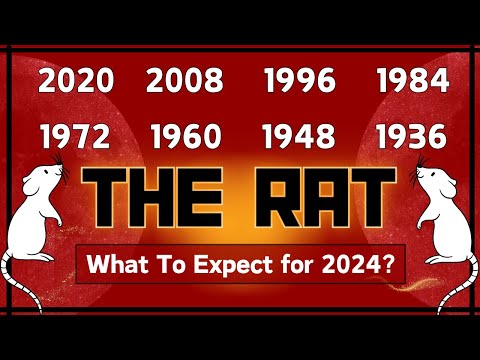 Rat Chinese Zodiac Sign Forecast 2024 | What Will This Year Hold For You