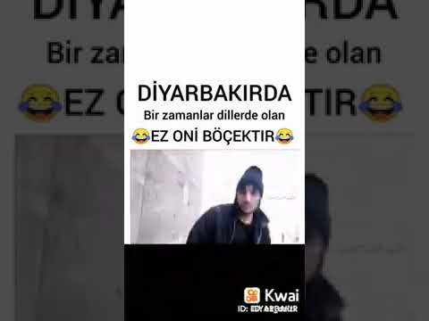 mişer ez oni böcektir