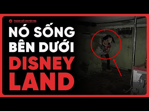 Video: 10 Điều Bạn Thực Sự Có Thể Nhận Miễn Phí Tại Disneyland