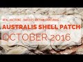Opal Shell Patch - Rarities Auction - Opal Auctions