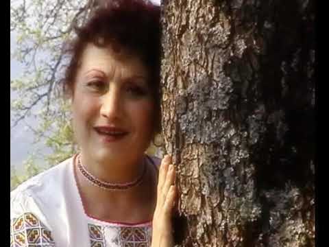 Auzit-am bade eu