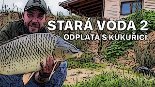 STARÁ VODA 2 - ODPLATA S KUKUŘICÍ OD VÁCLAVÍKA - TOUR COMMERCIAL - KDYŽ BOILIES NEFUNGUJE - PARTIKL