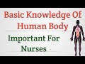 Basic knowledge of human body important for nurses