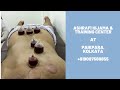 Kolkata Hijama Therapy Center | Hijama Cupping Therapy in Kolkata | Ashrafi Hijama & Training Center