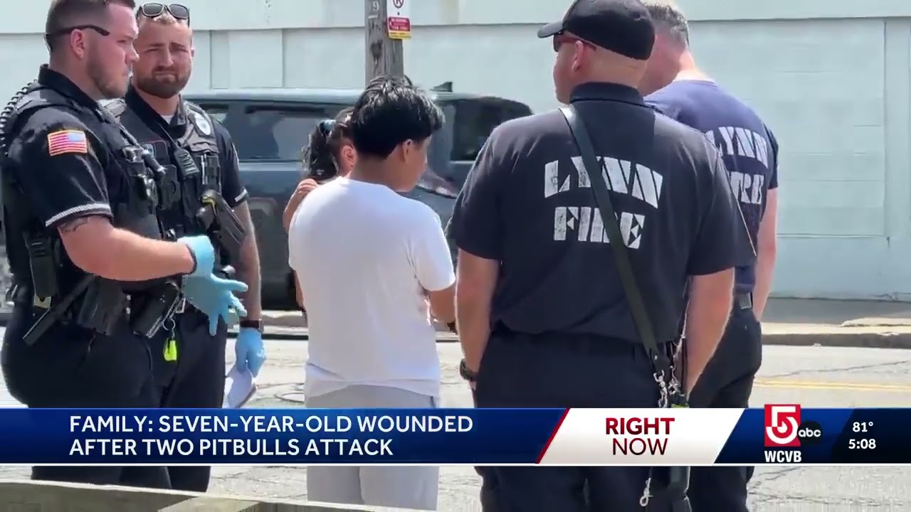 Boy, woman injured in dog attack at Lynn park